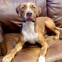 Thumbnail photo of Walter #4