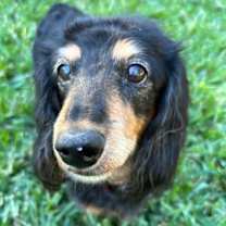 Thumbnail photo of Hannah #1