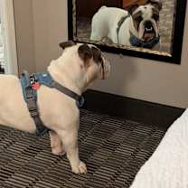 Thumbnail photo of Forrest #3