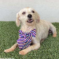 Thumbnail photo of Eve #2