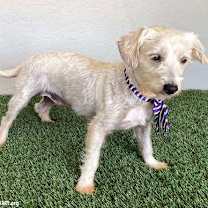 Thumbnail photo of Eve #3