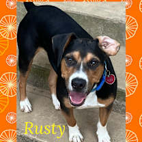 Thumbnail photo of Rusty #1