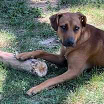 Thumbnail photo of Green Bean #1