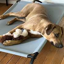 Thumbnail photo of Green Bean #2