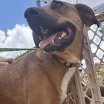 Thumbnail photo of Green Bean #3