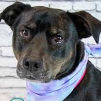 Thumbnail photo of Yasmeen #1