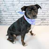 Thumbnail photo of Yasmeen #2