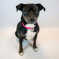 Thumbnail photo of Yasmeen #3