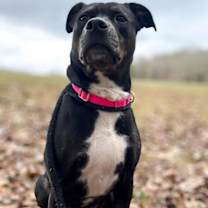 Thumbnail photo of Yasmeen #4