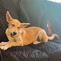 Thumbnail photo of Danny #2