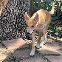 Thumbnail photo of Danny #4