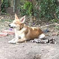 Thumbnail photo of Danny #2