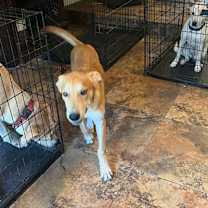 Thumbnail photo of Danny #4