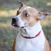 Thumbnail photo of Handsome #3