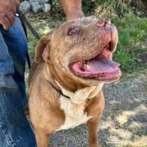 Thumbnail photo of MARCY #2