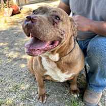 Thumbnail photo of MARCY #1