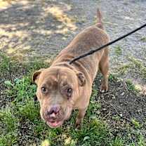 Thumbnail photo of MARCY #2