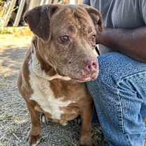 Thumbnail photo of MARCY #3