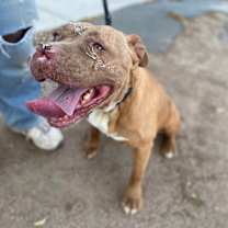 Thumbnail photo of MARCY #4