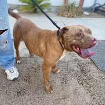 Thumbnail photo of MARCY #3