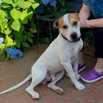 Thumbnail photo of LUKE #2