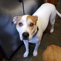 Thumbnail photo of LUKE #3