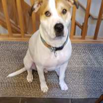 Thumbnail photo of LUKE #4