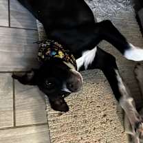 Thumbnail photo of Lucy #3