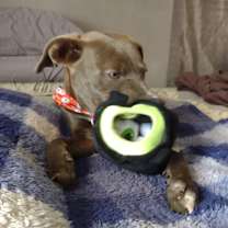 Thumbnail photo of Franklin #2