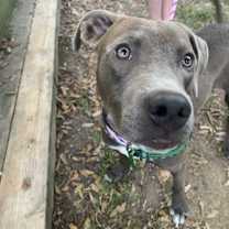 Thumbnail photo of Franklin #3