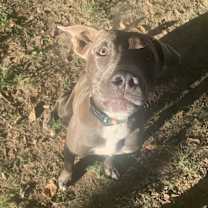 Thumbnail photo of Franklin #4