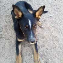 Thumbnail photo of Wanda #1