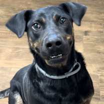 Thumbnail photo of Dennis #1