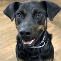 Thumbnail photo of Dennis #2