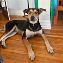 Thumbnail photo of Sully #3