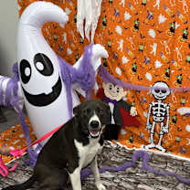 Thumbnail photo of Willow #3