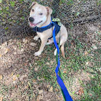 Thumbnail photo of Logan #1