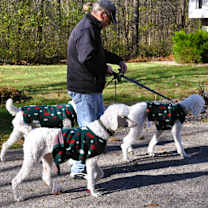 Thumbnail photo of TUCKER #4