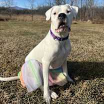 Thumbnail photo of Sky #3