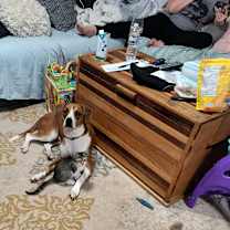 Thumbnail photo of Charlie #2