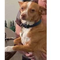 Thumbnail photo of Little Bit #1