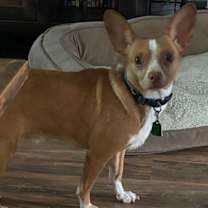 Thumbnail photo of Little Bit #2