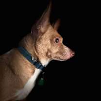 Thumbnail photo of Little Bit #3