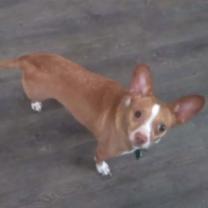 Thumbnail photo of Little Bit #4