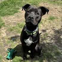 Thumbnail photo of RAIN #3