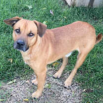 Thumbnail photo of HANK 2024 #1