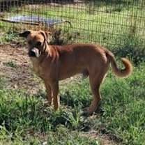 Thumbnail photo of HANK 2024 #2