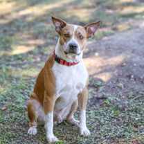 Thumbnail photo of Handsome #4