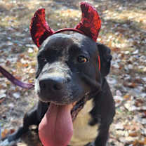 Thumbnail photo of Didi #4