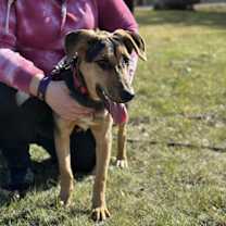 Thumbnail photo of Mercedes #2